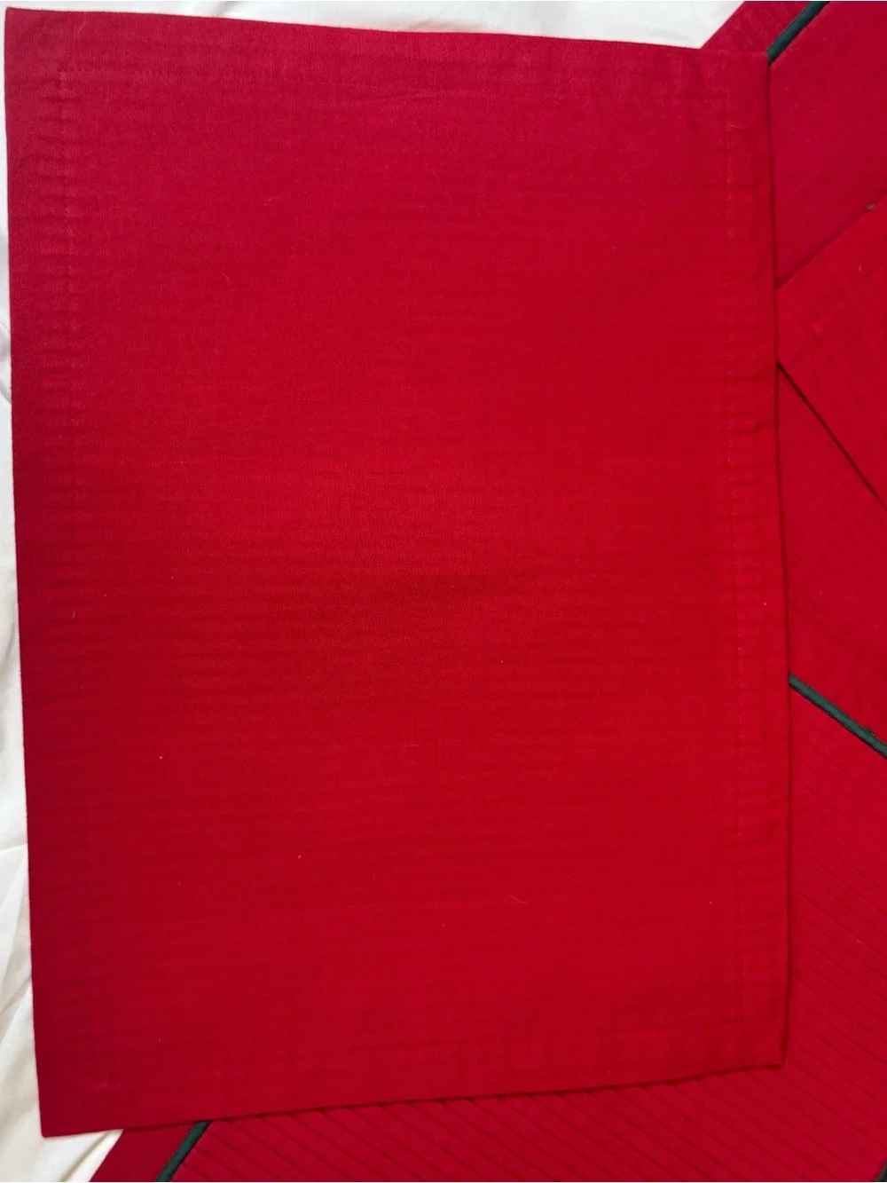 Red Pleated Placemats with Green Piping - Set of 10